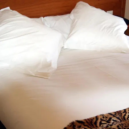 酒店 卡德亚雷蒂罗酒店 3*